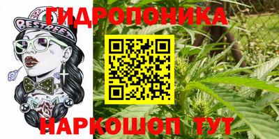 стафф Севастополь