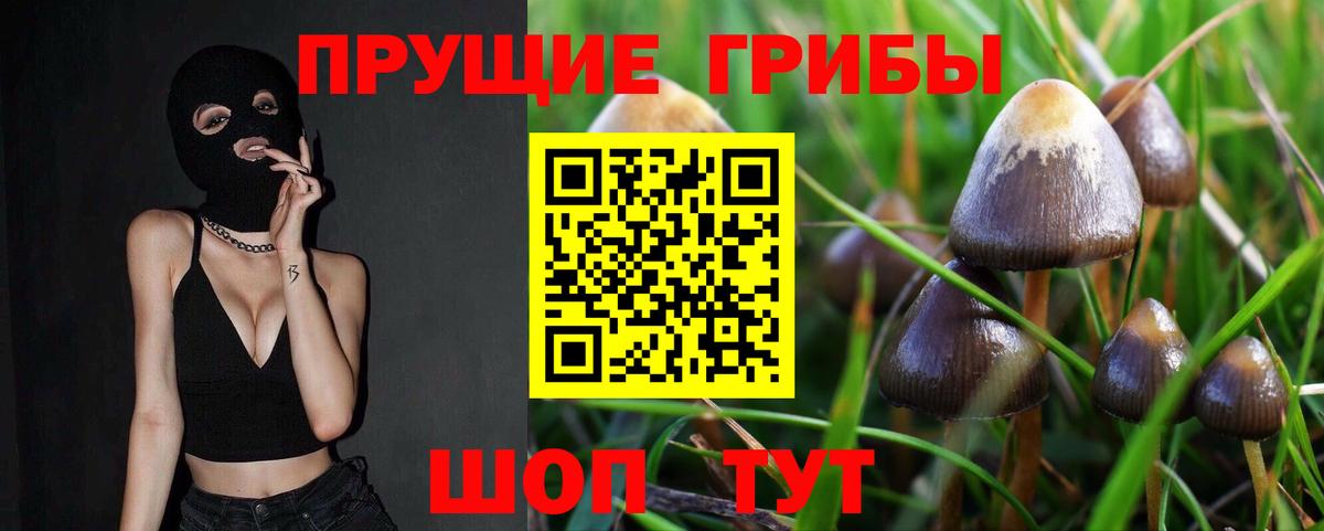 Обнинск  Галлюциногенные грибы Cubensis  Вход с VPN 